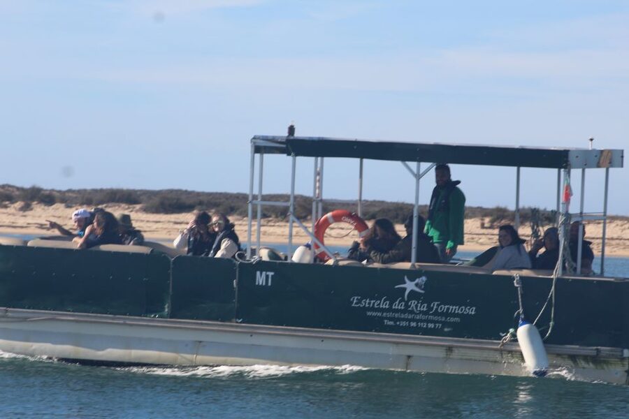 From Faro: 2-Island, 2-Stop Ria Formosa Catamaran Tour - Cruising through Ria Formosa Natural Park