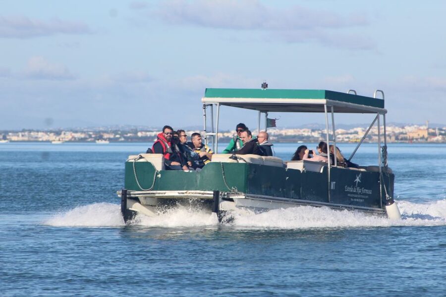 From Faro: 4 Stops, 3 Islands in Ria Formosa Catamaran Tour - Why this five-hour boat trip works