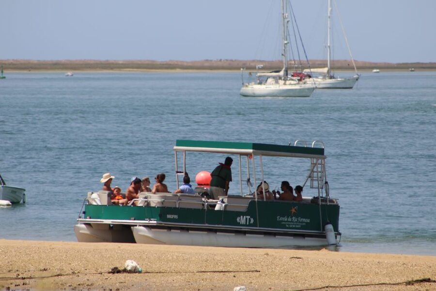 From Faro: 4 Stops, 3 Islands in Ria Formosa Catamaran Tour - Timing, group size, and what to bring