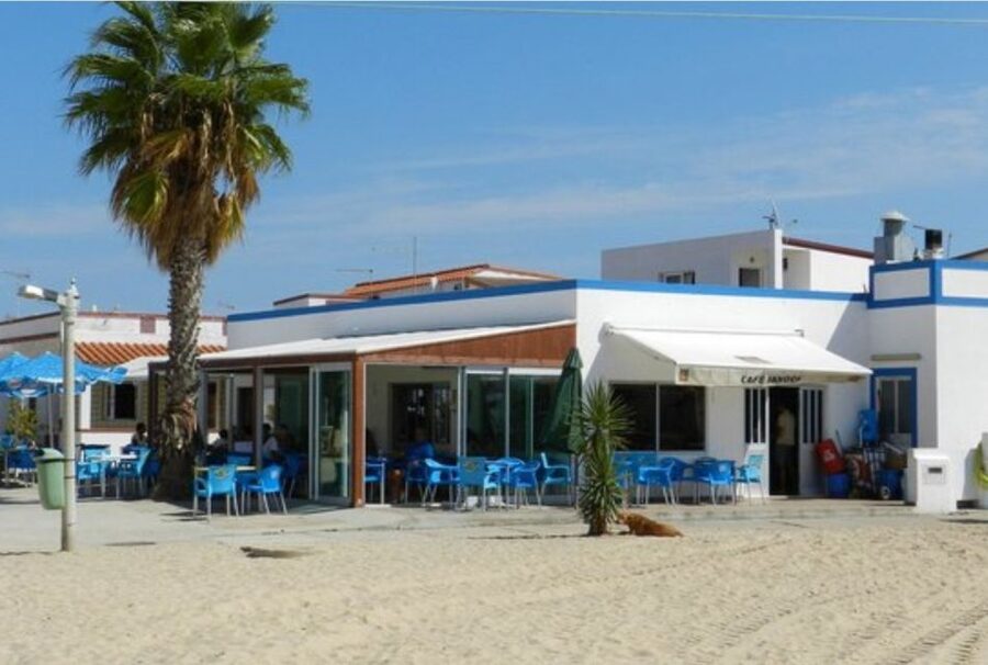 From Faro: 4 Stops, 3 Islands in Ria Formosa Catamaran Tour - Who will enjoy this tour most