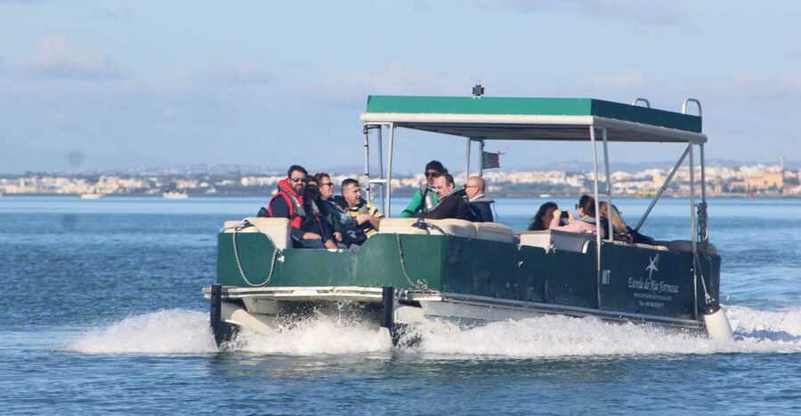 From Faro: 4 Stops, 3 Islands in Ria Formosa Catamaran Tour - Ilha Deserta: your first swim and the quietest stop