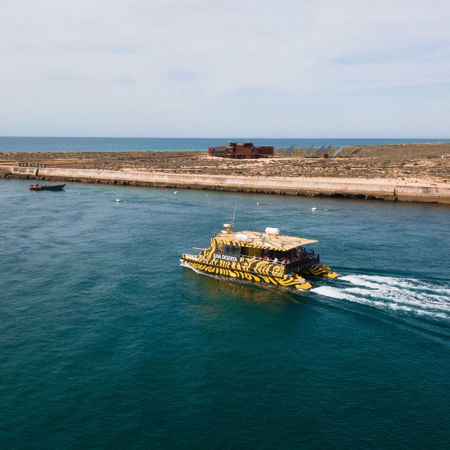 From Faro: Catamaran Boat Trip to Deserta Island with Stop - Why Ilha Deserta makes a good Faro escape