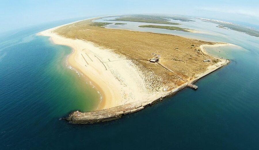 From Faro: Catamaran Boat Trip to Deserta Island with Stop - Estaminé Restaurant and food on the island