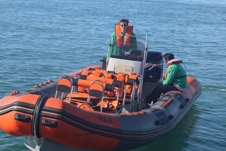 From Faro: Dolphin Watching & 2 Islands Tour - Key points at a glance
