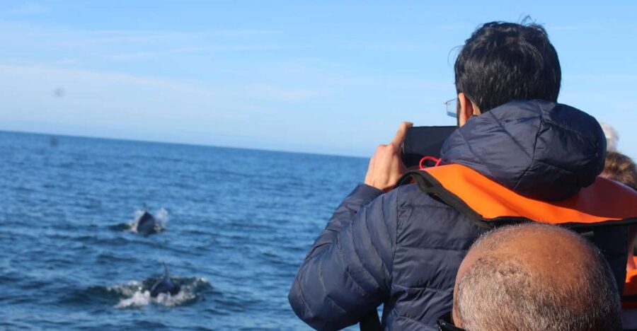 From Faro: Dolphin Watching & 2 Islands Tour - Leaving Faro through the Ria Formosa