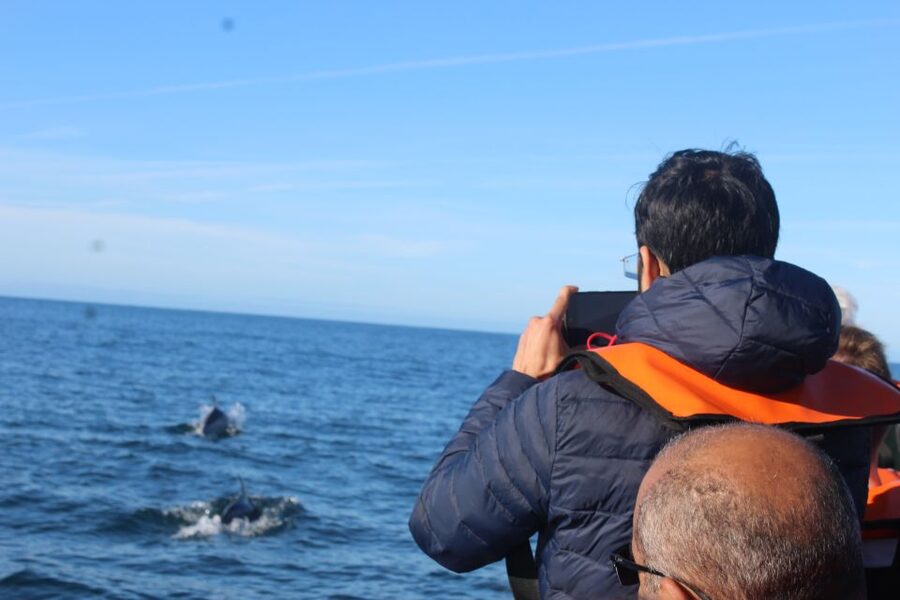 From Faro: Dolphin Watching & 2 Islands Tour - The return through changing tidal channels