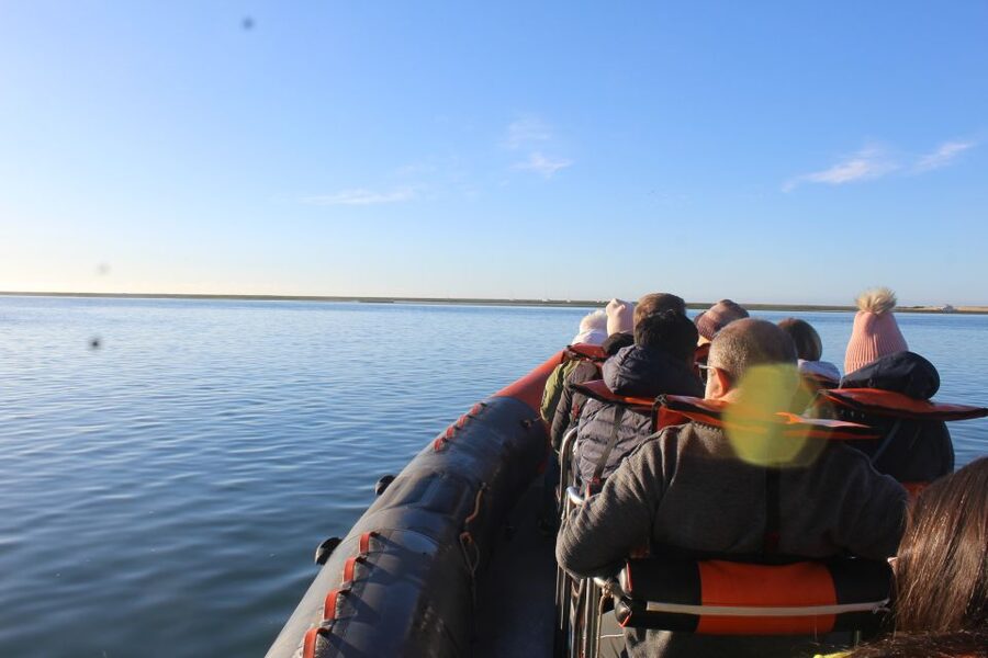 From Faro: Dolphin Watching & 2 Islands Tour - Is $70 a fair price?
