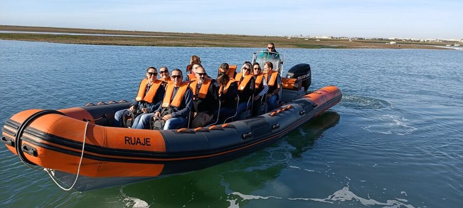 From Faro: Dolphin Watching & 2 Islands Tour - Who should book this morning on the water?