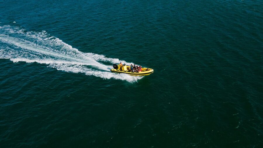 From Faro: Ria Formosa Hop-On Hop-Off 3 Islands Cruise - Why this makes a strong day trip from Faro