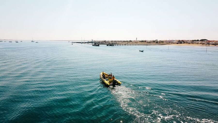 From Faro: Ria Formosa Hop-On Hop-Off 3 Islands Cruise - Farol Island, lighthouse views and a beach village