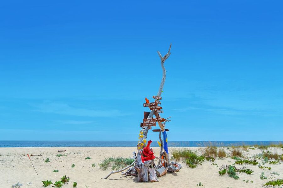 From Faro: Ria Formosa Hop-On Hop-Off 3 Islands Cruise - Who will enjoy this most