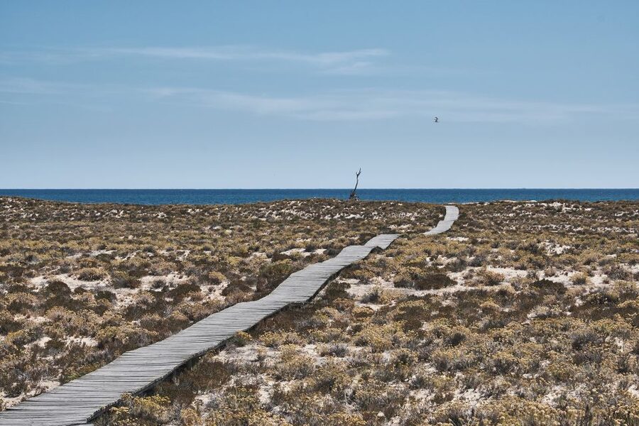 From Faro: Ria Formosa Hop-On Hop-Off 3 Islands Cruise - Practical plan for a better day