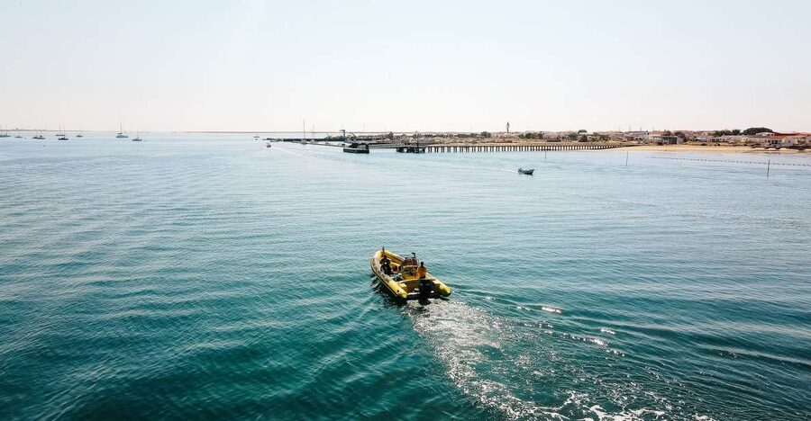 From Faro: Ria Formosa Hop-On Hop-Off 3 Islands Cruise - Desert Island, quiet sand and open water