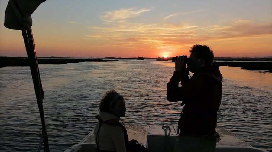 From Faro: Ria Formosa Sunset Boat Trip - Practical booking advice for the best evening
