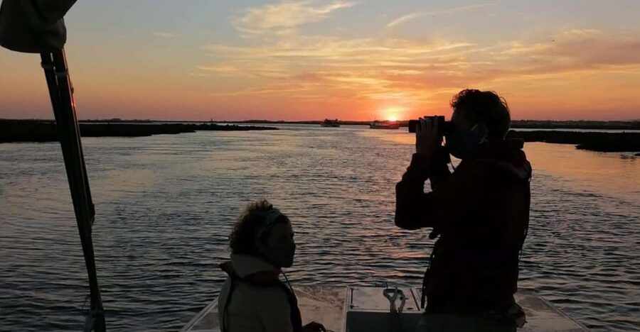 From Faro: Ria Formosa Sunset Boat Trip - Why the Ria Formosa sunset is worth your evening
