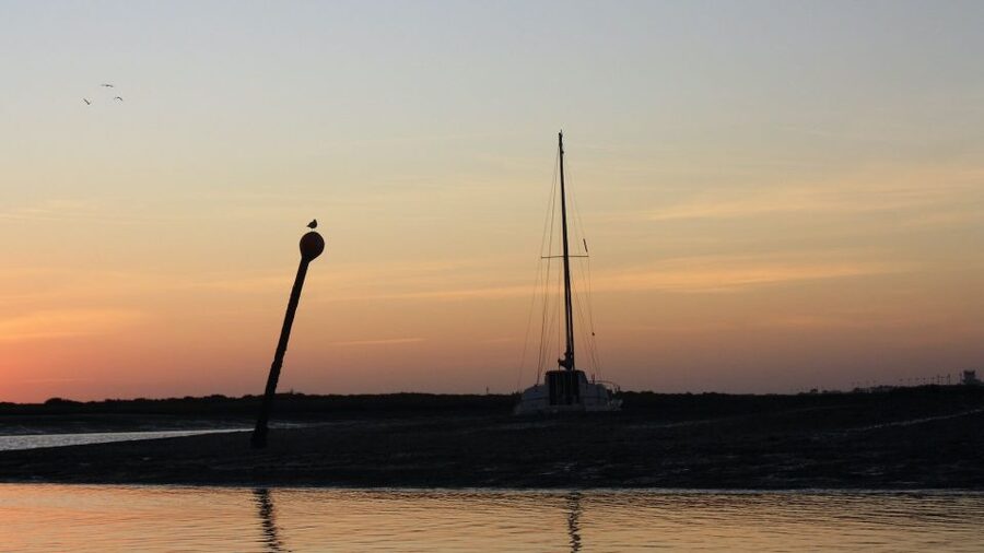 From Faro: Ria Formosa Sunset Boat Trip - Wildlife, marshes, and the chance of dolphins