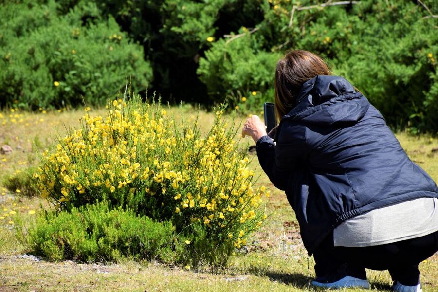 From Funchal: 2-Day Guided Tour of Madeira - Pico Arieiro and Madeira’s mountain character