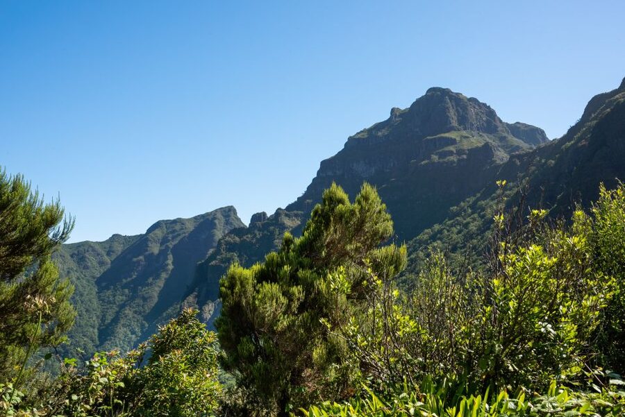 From Funchal: Best of Madeira's West Tour - Porto Moniz: lunch and lava pools
