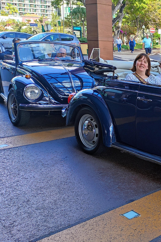 From Funchal: Cabo Girão & Poncha Tasting by Classic VW - Who will enjoy this tour most