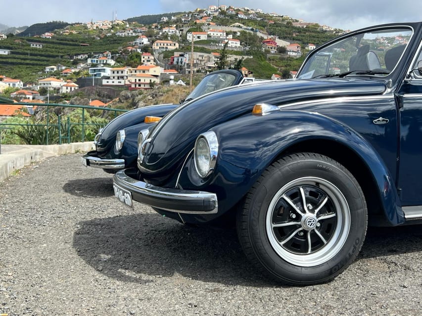 From Funchal: Cabo Girão & Poncha Tasting by Classic VW - Timing, comfort, and what to bring