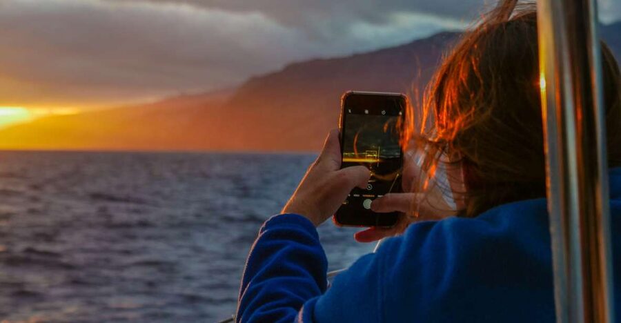 From Funchal: Cabo Girao Sunset Cruise on Luxury Catamaran - Watching for dolphins and whales