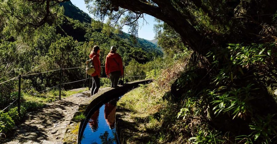 From Funchal/Caniço: Rabaçal Hike (25 Fontes) Bus Transfer - Key points to know before booking