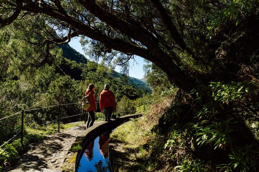From Funchal/Caniço: Rabaçal Hike (25 Fontes) Bus Transfer - The $32 price and who gets good value