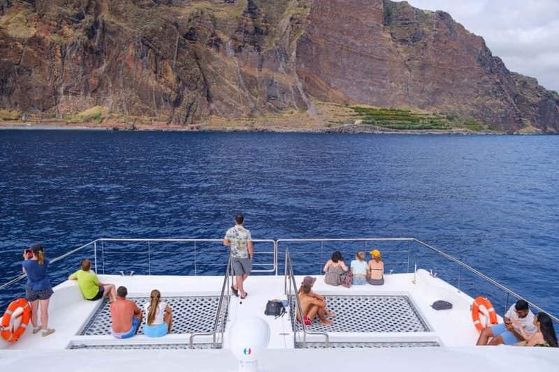 From Funchal: Ecological Catamaran Dolphin Whale Watching - Searching Offshore for Dolphins and Whales
