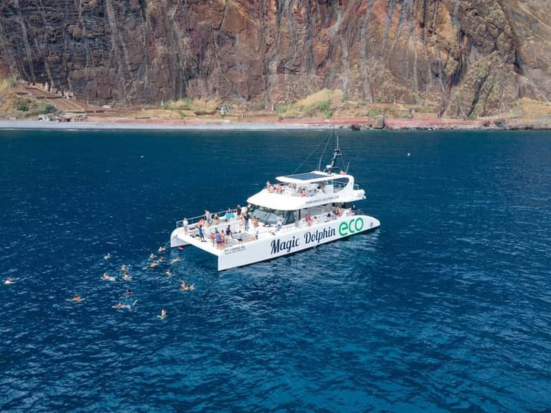 From Funchal: Ecological Catamaran Dolphin Whale Watching - Why the Quiet Engine Matters