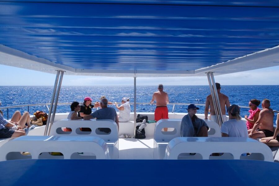 From Funchal: Ecological Catamaran Dolphin Whale Watching - The Crew, Guides, and Wildlife Rules