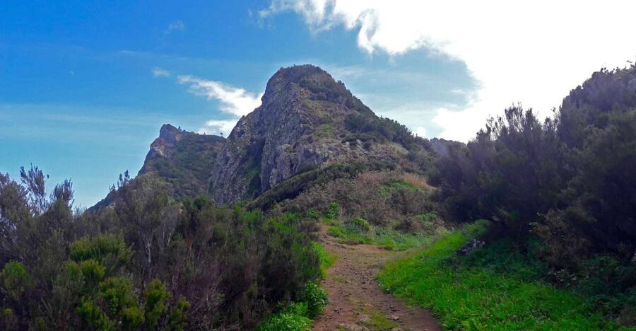 From Funchal: Machico to Porto da Cruz Larano Cliff Hike - Key points to know before you book