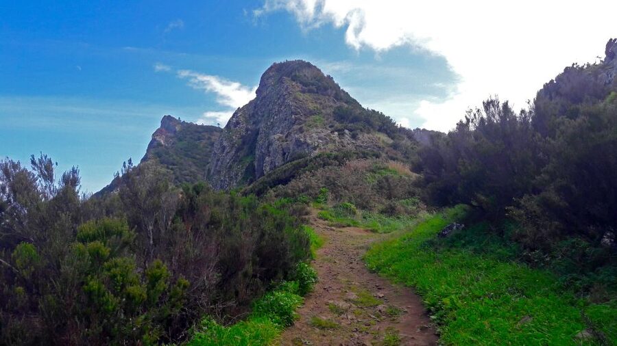 From Funchal: Machico to Porto da Cruz Larano Cliff Hike - Why the Machico to Porto da Cruz route is worth your day