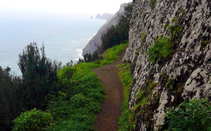 From Funchal: Machico to Porto da Cruz Larano Cliff Hike - Starting among Machico’s farms and levadas
