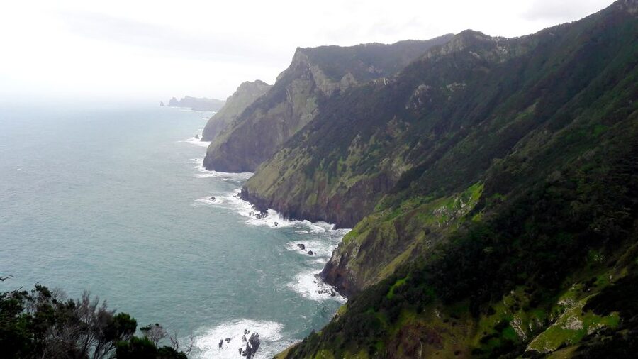 From Funchal: Machico to Porto da Cruz Larano Cliff Hike - How hard is the 12-kilometer walk?