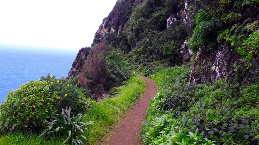 From Funchal: Machico to Porto da Cruz Larano Cliff Hike - What the guide adds to the experience