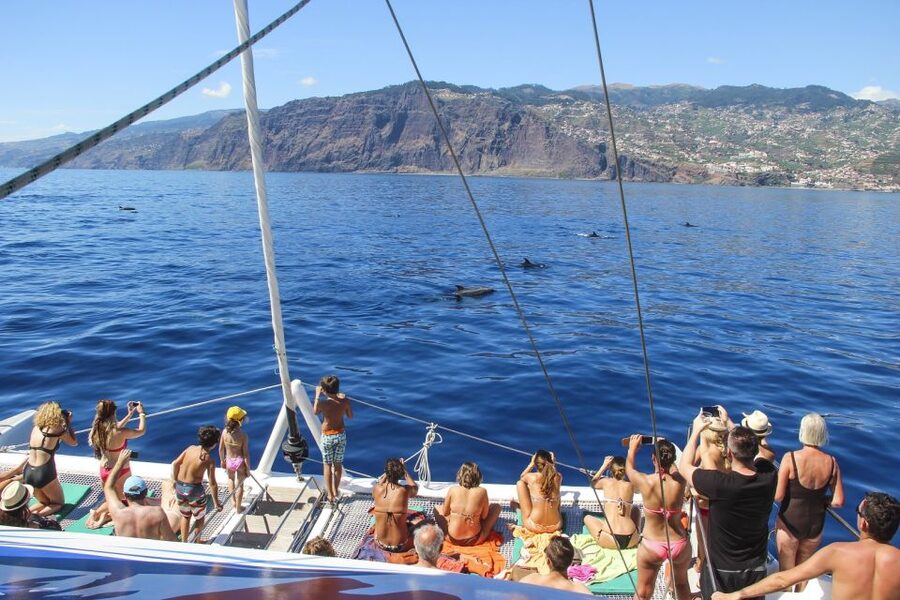 From Funchal: Madeira Dolphin and Whale Watching Tour - What to pack and what to leave behind