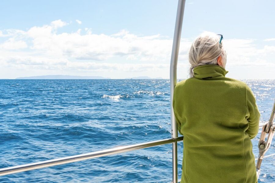 From Funchal: Madeira Dolphin and Whale Watching Tour - Searching for dolphins, whales, and turtles