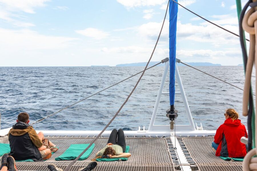 From Funchal: Madeira Dolphin and Whale Watching Tour - Cruising below Cabo Girão
