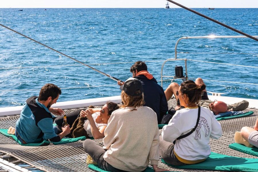 From Funchal: Madeira Dolphin and Whale Watching Tour - The return along Madeira’s southern coast