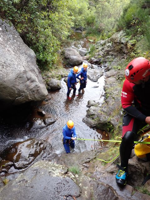 From Funchal: Madeira Island Canyoning for Beginners - What the $82 price really covers