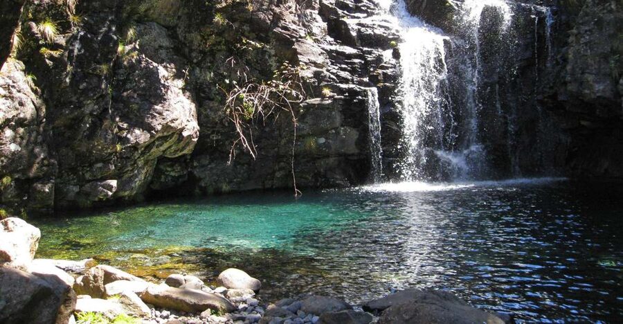 From Funchal: Madeira Lakes Levada Guided Hike - What the 8-hour day looks like