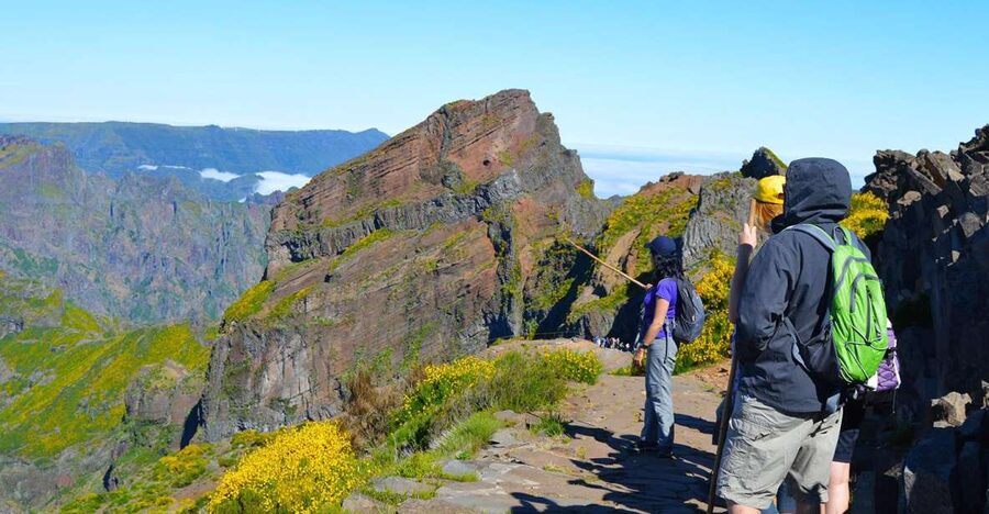 From Funchal: Madeira Peaks Mountain Walk - Key points to know before booking