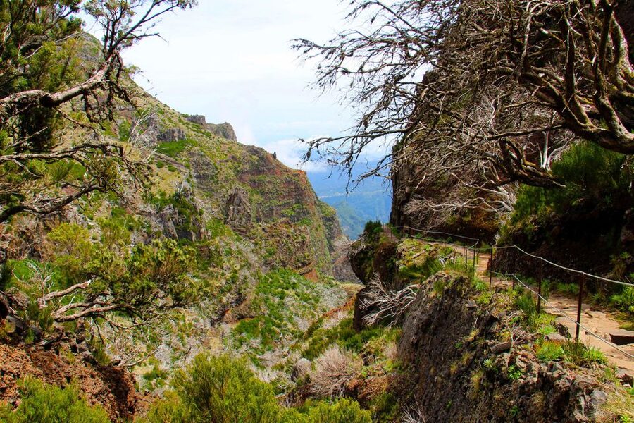 From Funchal: Madeira Peaks Mountain Walk - What happens when the weather closes in
