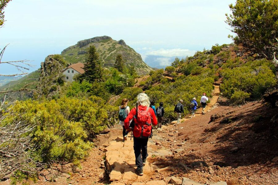 From Funchal: Madeira Peaks Mountain Walk - From Funchal to the high trailhead