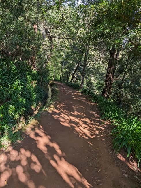 From Funchal: Pico Arieiro Sunrise with Optional Breakfast - Should you book it?
