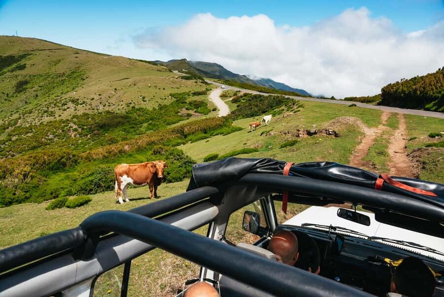 From Funchal: Porto Moniz and Seixal Day Tour by Jeep - The ride, comfort, and group size