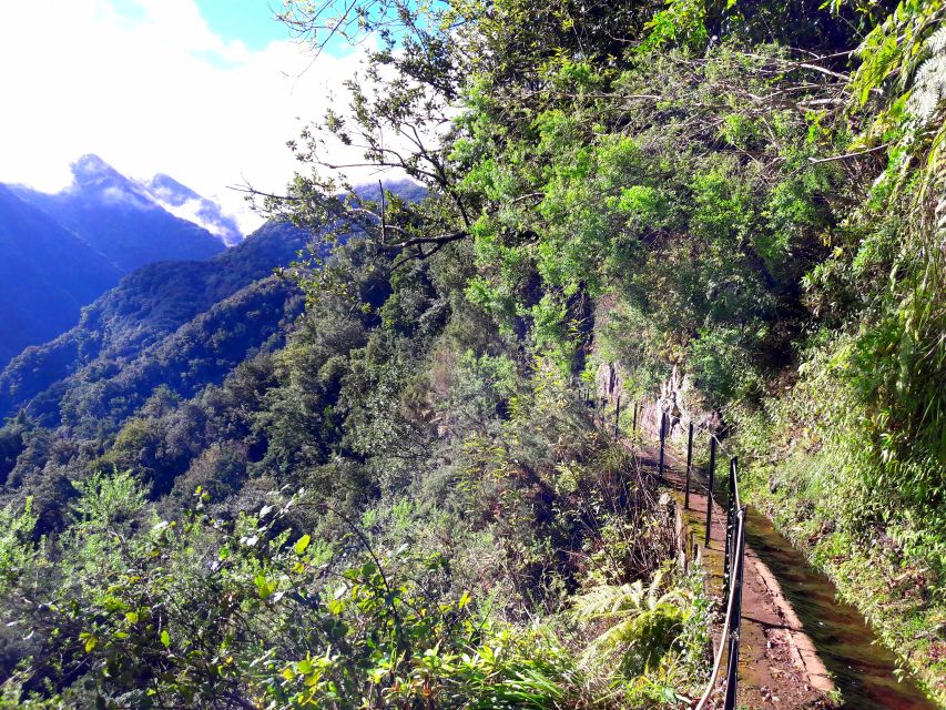 From Funchal: São Jorge Valleys Levada Walk - Key points to know before booking