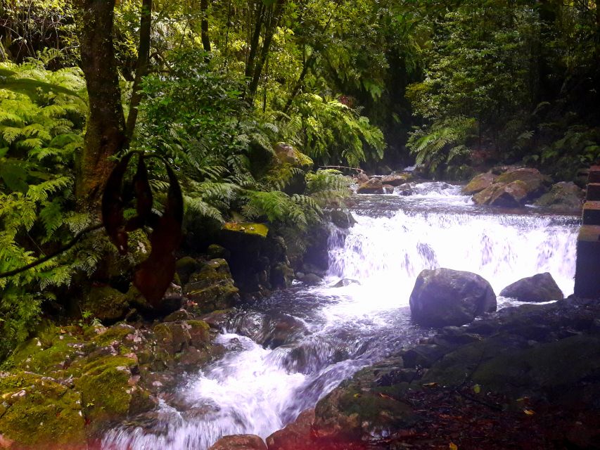 From Funchal: São Jorge Valleys Levada Walk - Who will enjoy this levada walk most?