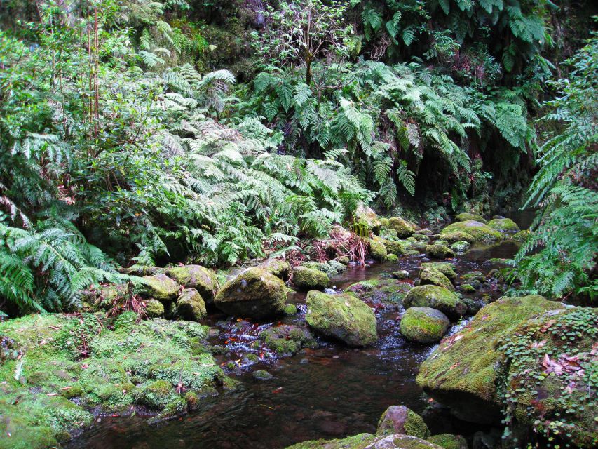 From Funchal: São Jorge Valleys Levada Walk - Walking behind the waterfalls
