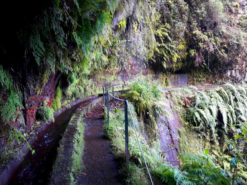 From Funchal: São Jorge Valleys Levada Walk - Ribeiro Bonito, the quiet payoff at the end